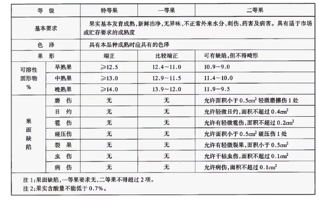 李子冷庫(kù)建造完成后如何用于儲(chǔ)存的？這些你都知道嗎