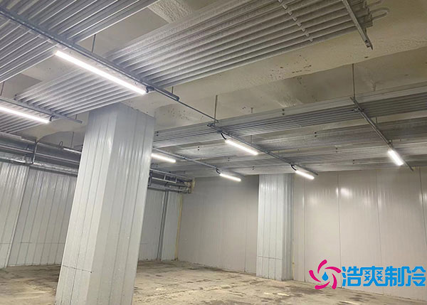 600噸貨物需要建造多大的冷藏庫(kù)？.jpg