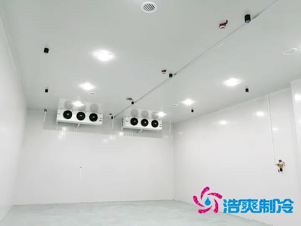 冷庫造價(jià)揭秘：300平方米到底要花多少錢？-浩爽制冷